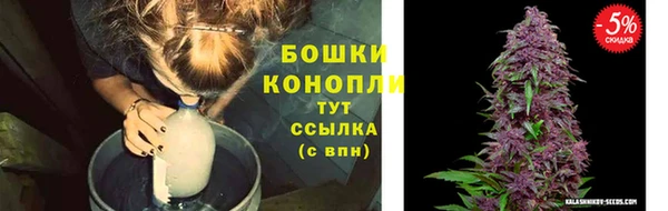 бошки Губаха