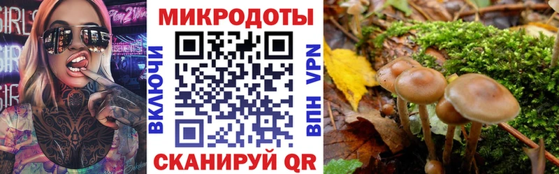 Купить  Дальнегорск  Псилоцибиновые грибы мухоморы 